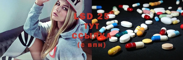 mdpv Бородино