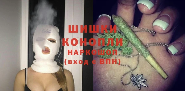 mdpv Бородино