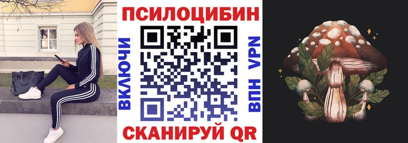 Псилоцибиновые грибы Cubensis Кирс